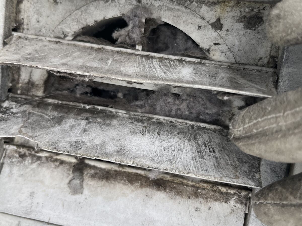 Exterior dryer vent grille matted with lint before service