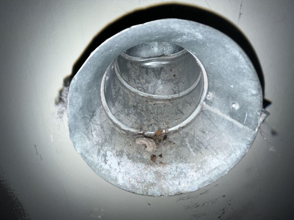 Clean roof dryer vent duct after nest removal in Westerville, Ohio