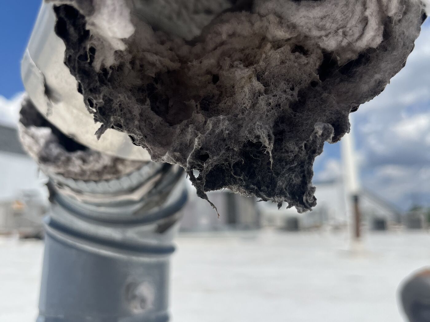 Exterior commercial dryer vent termination before cleaning