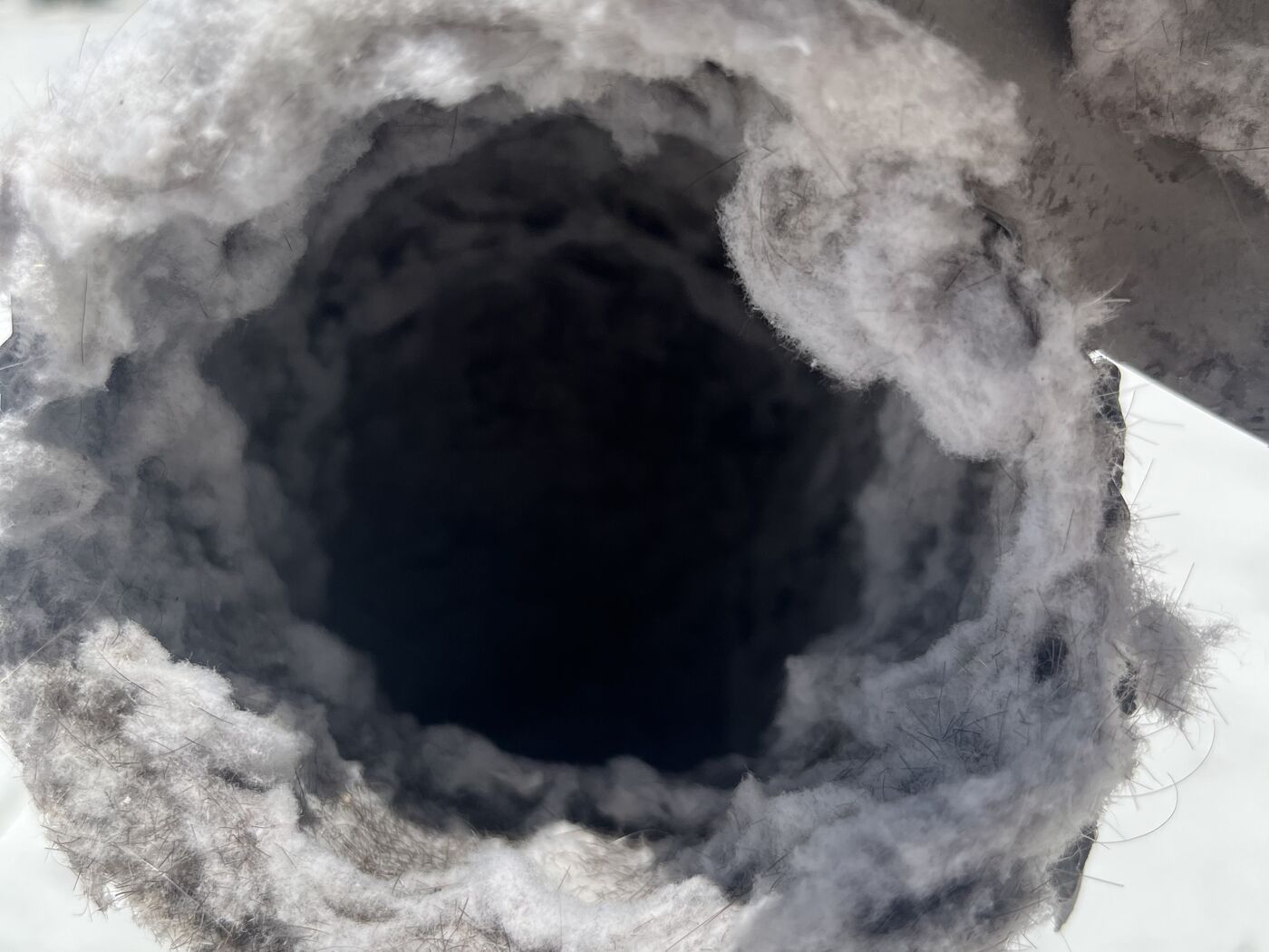 Commercial dryer vent cap removed to expose the duct