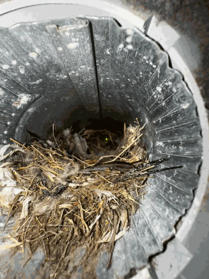 How often should I schedule dryer vent cleaning?