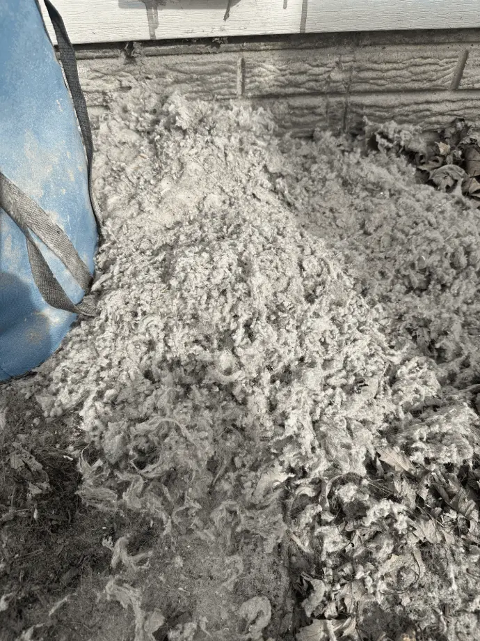 top-rated dryer vent cleaning companies